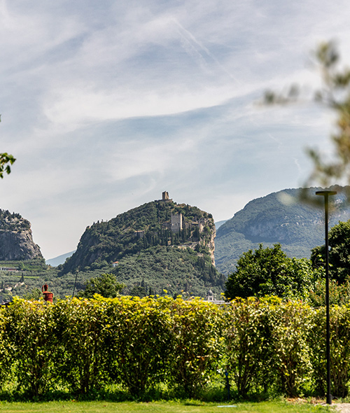 Giardino del Vinea Resort tra vigne e olivi secolari